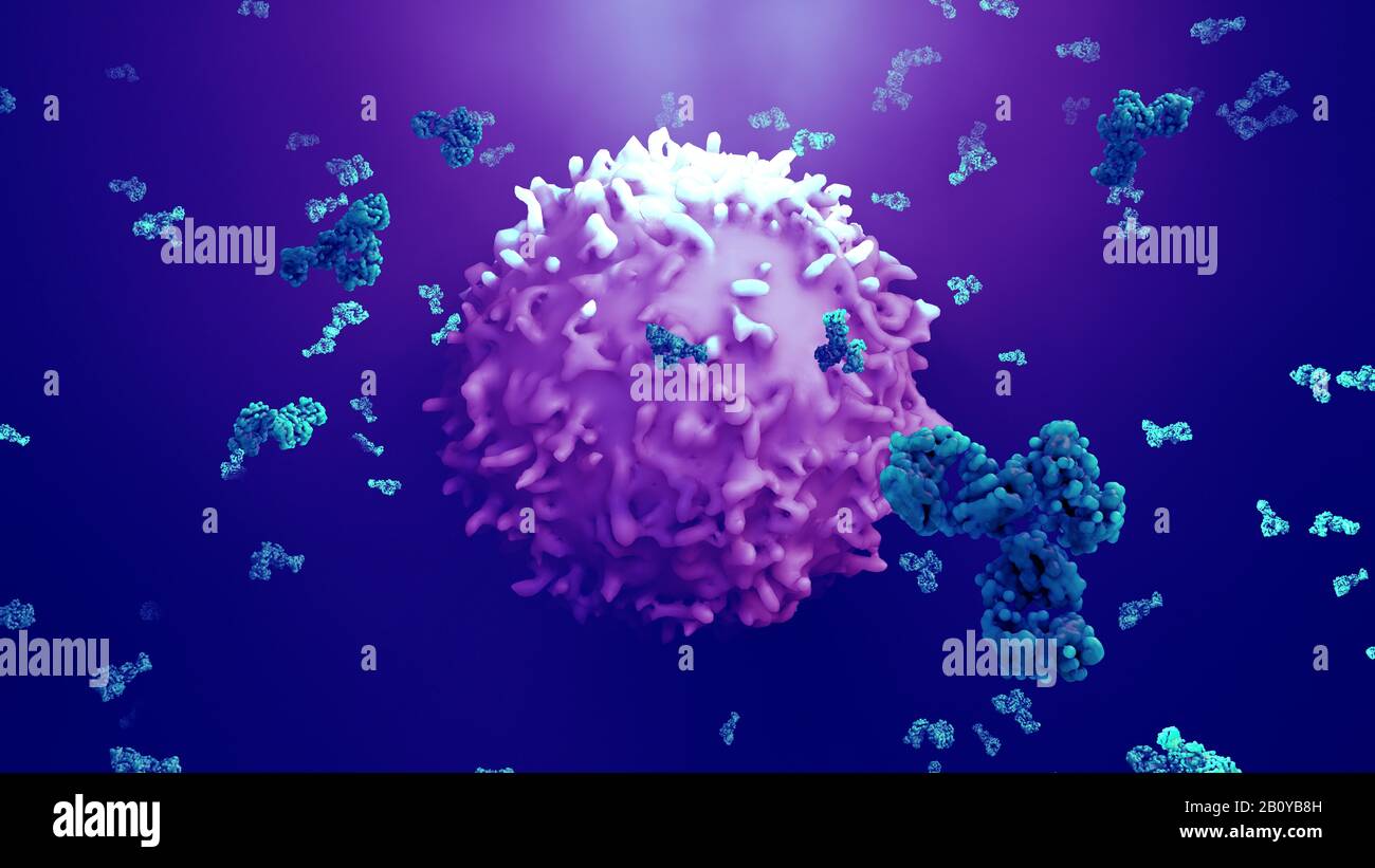 Antibodies attacking cancer cell, illustration Stock Photo - Alamy