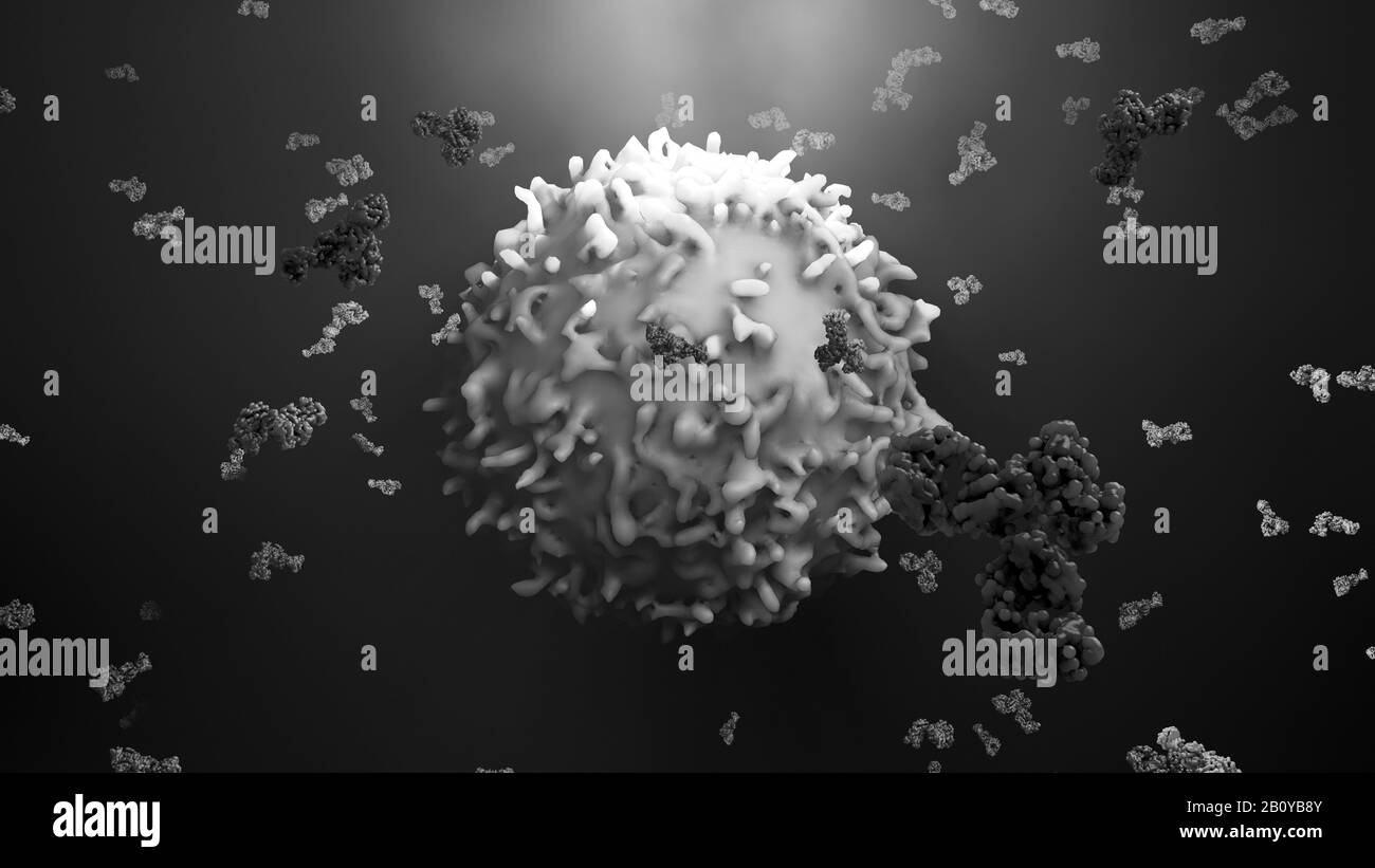 Antibodies attacking cancer cell, illustration Stock Photo - Alamy