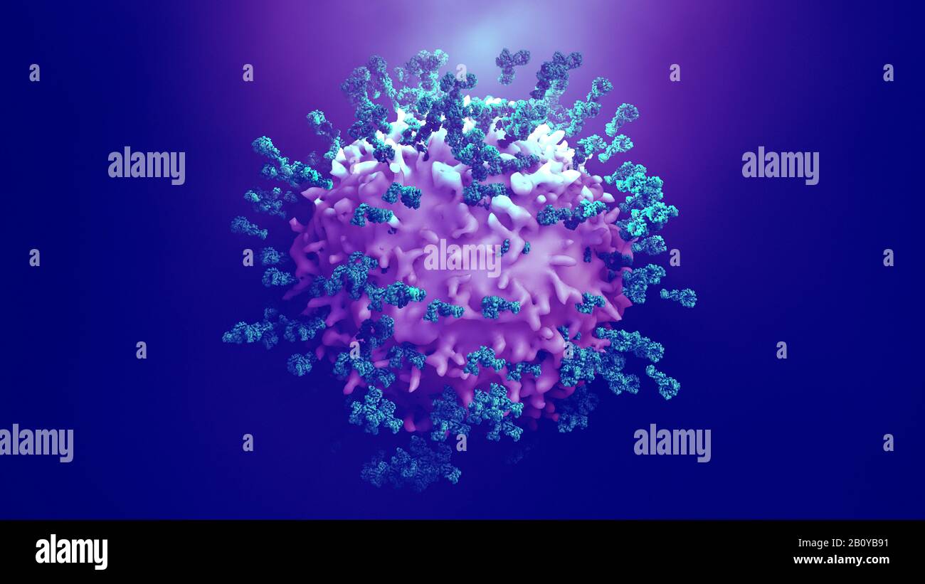 Antibodies attacking cancer cell, illustration Stock Photo