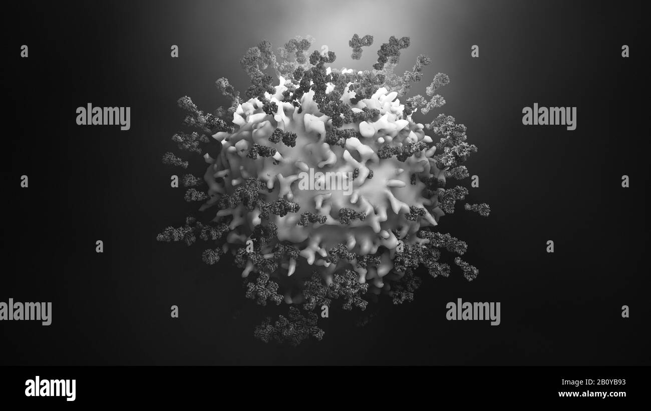 Antibodies attacking cancer cell, illustration Stock Photo - Alamy