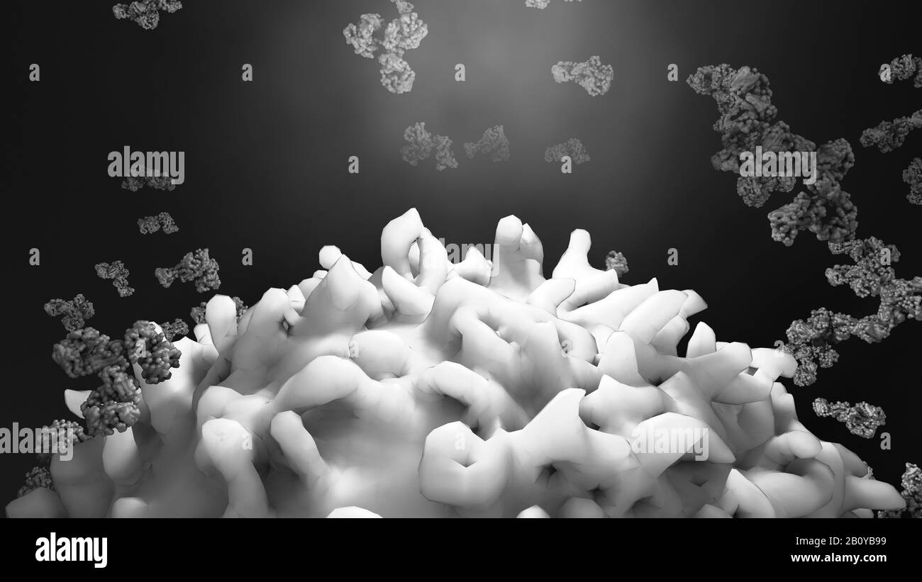 Antibodies attacking cancer cell, illustration Stock Photo - Alamy