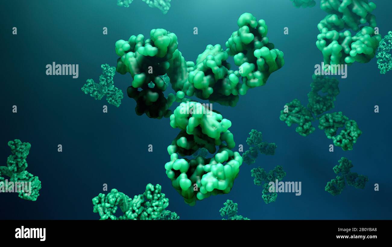 Antibodies, illustration Stock Photo