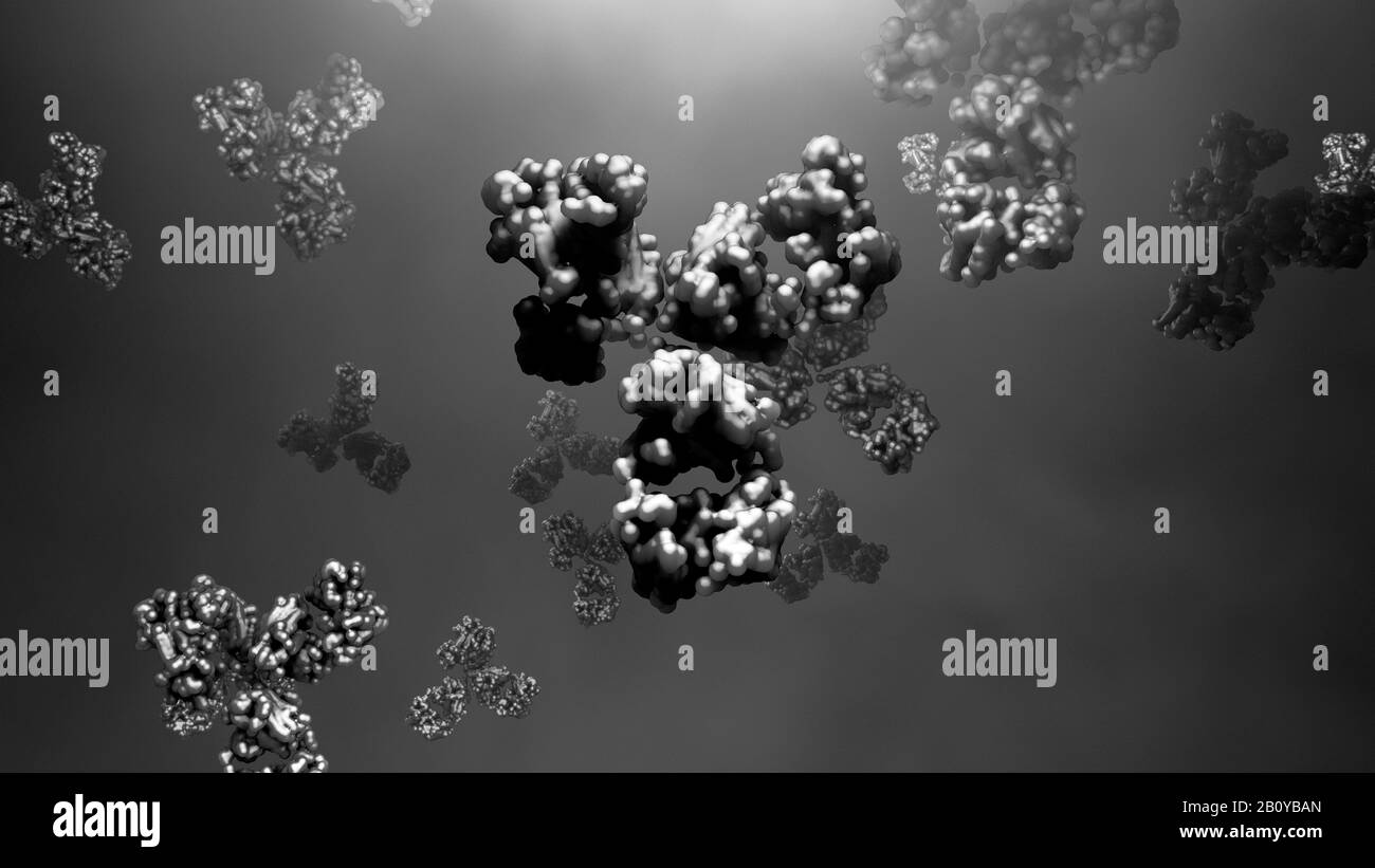 Antibodies The Secret Art Of Labeling - fftniq4