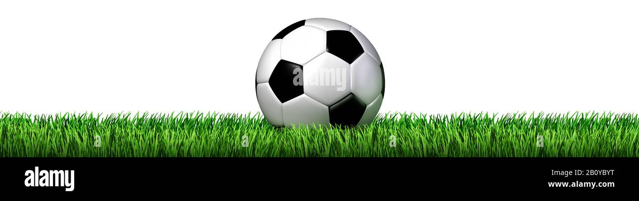 Soccer ball on grass as a summer or spring team sport 3D illustration. Stock Photo