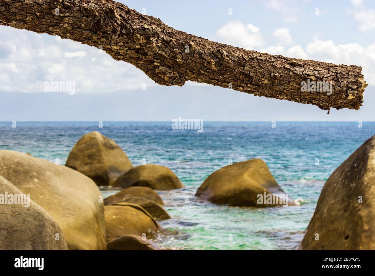 A broken pine branch against the dramatic backdrop of tropical Queensland Australia near Nudey Beach on Fitzroy Island. Stock Photo