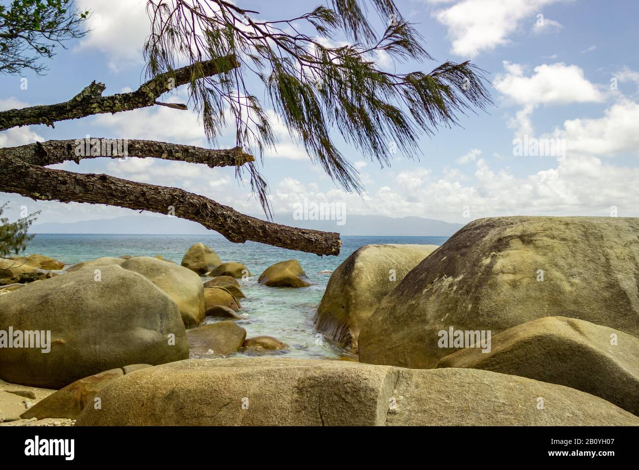 A broken pine branch against the dramatic backdrop of tropical Queensland Australia near Nudey Beach on Fitzroy Island. Stock Photo