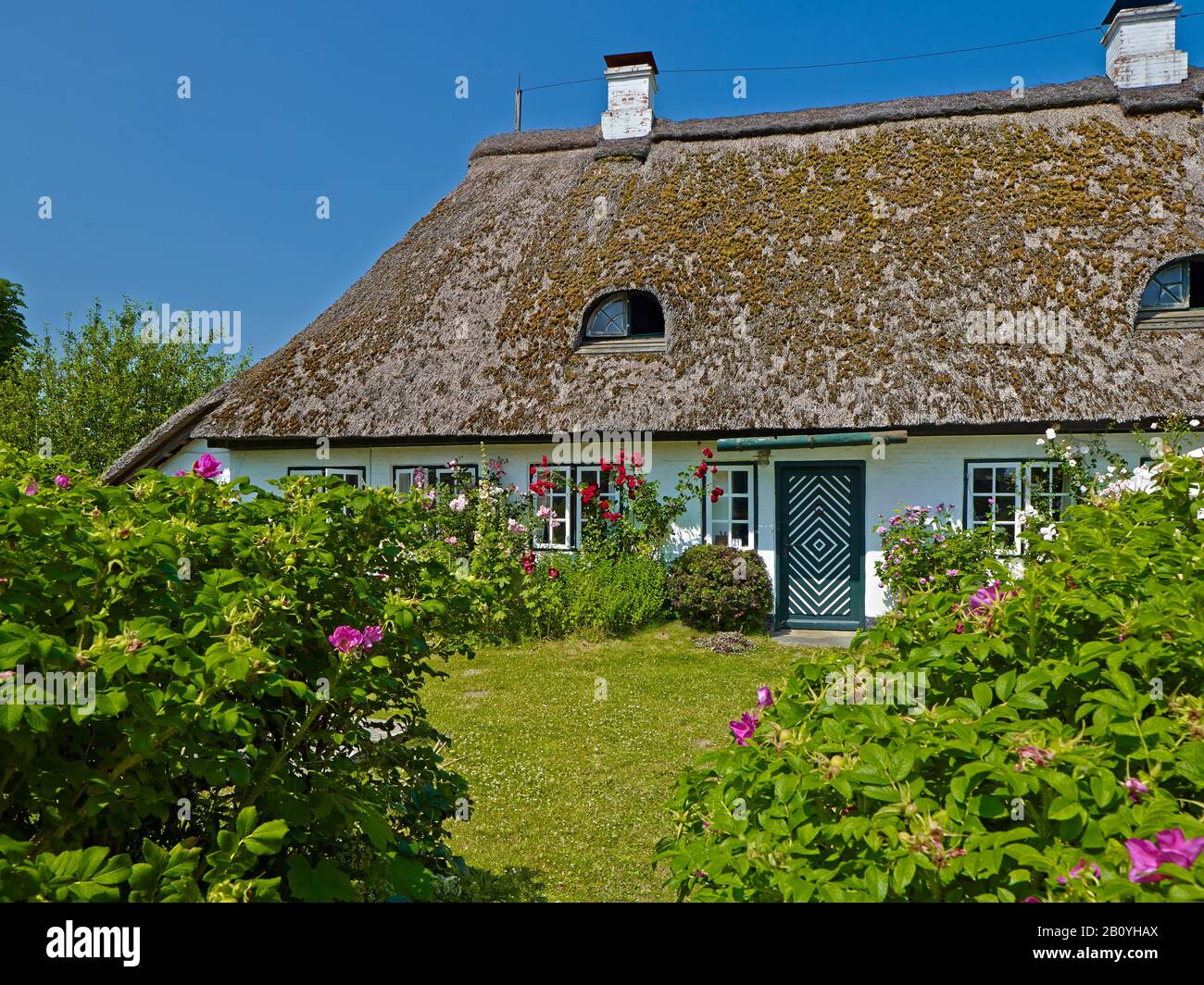 House in Sieseby an der Schlei, district of Rendsburg-Eckernförde, Schleswig-Holstein, Germany, Stock Photo