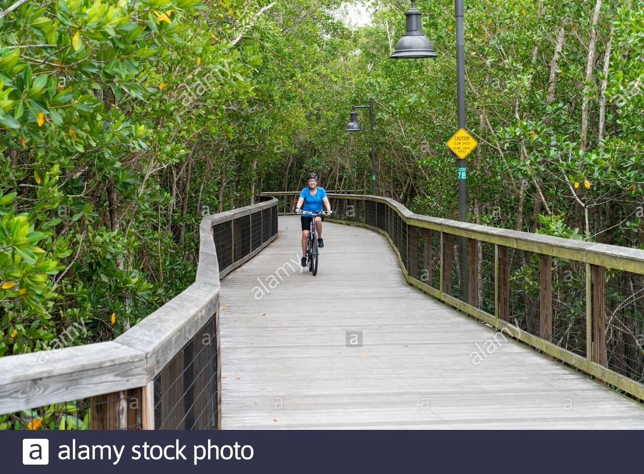 A Woman Rides A Bicycle On A Boardwalk On The Gordon River Greenway Park Trail In Naples Florida Usa Stock Photo Alamy A Woman Rides A Bicycle On A Boardwalk On The Gordon River Greenway Park Trail In Naples Florida Usa Stock Photo Alamy