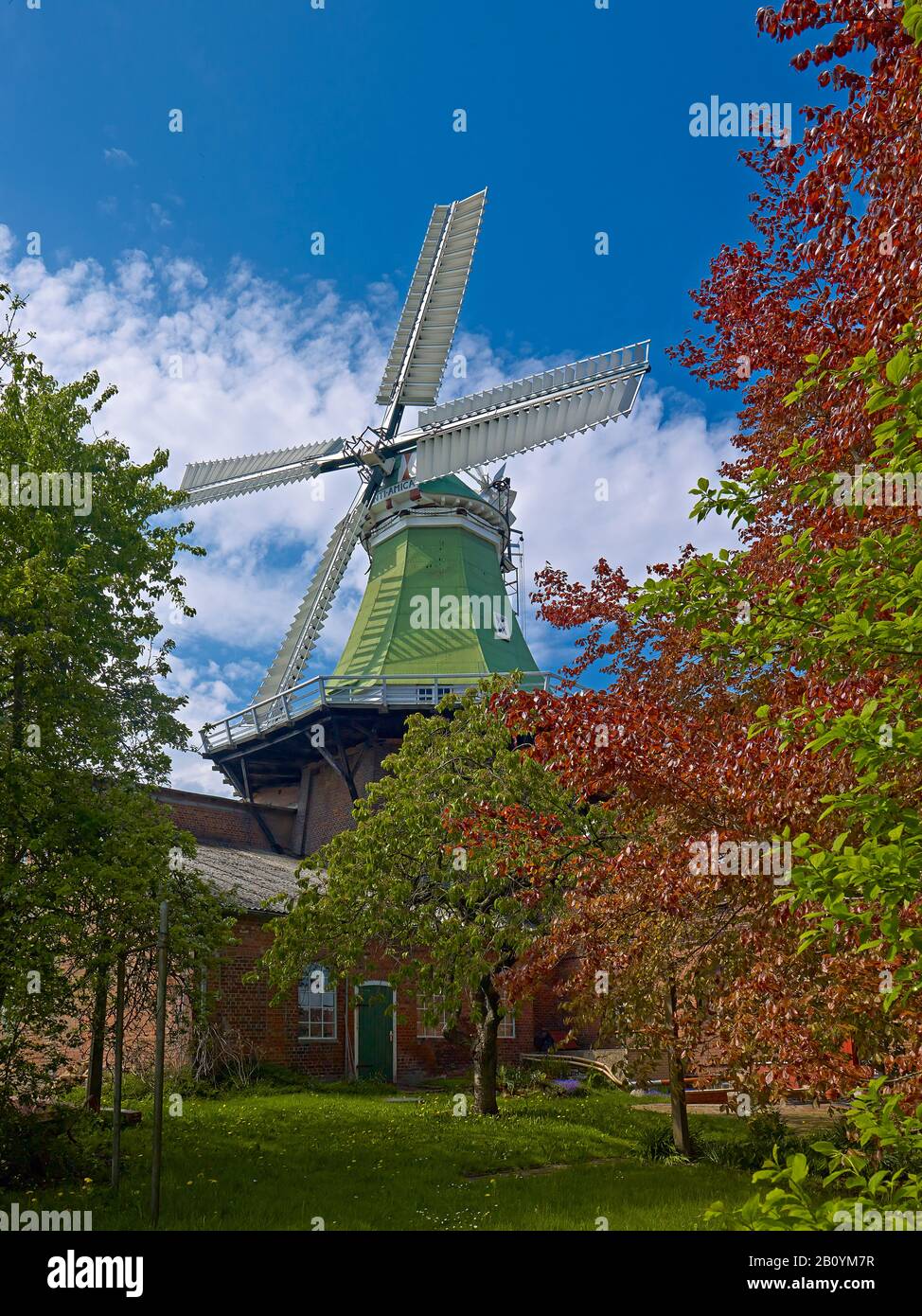 Windmill Venti Amica in Twielenfleth-Lühe, Altes Land, Landkreis Stade, Lower Saxony, Germany, Stock Photo