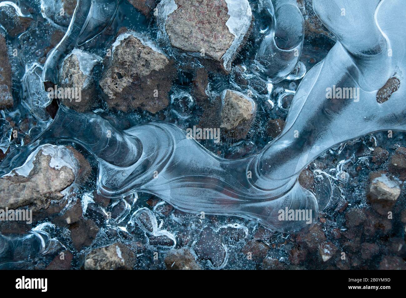 Ice formed around a stone, Stock Photo