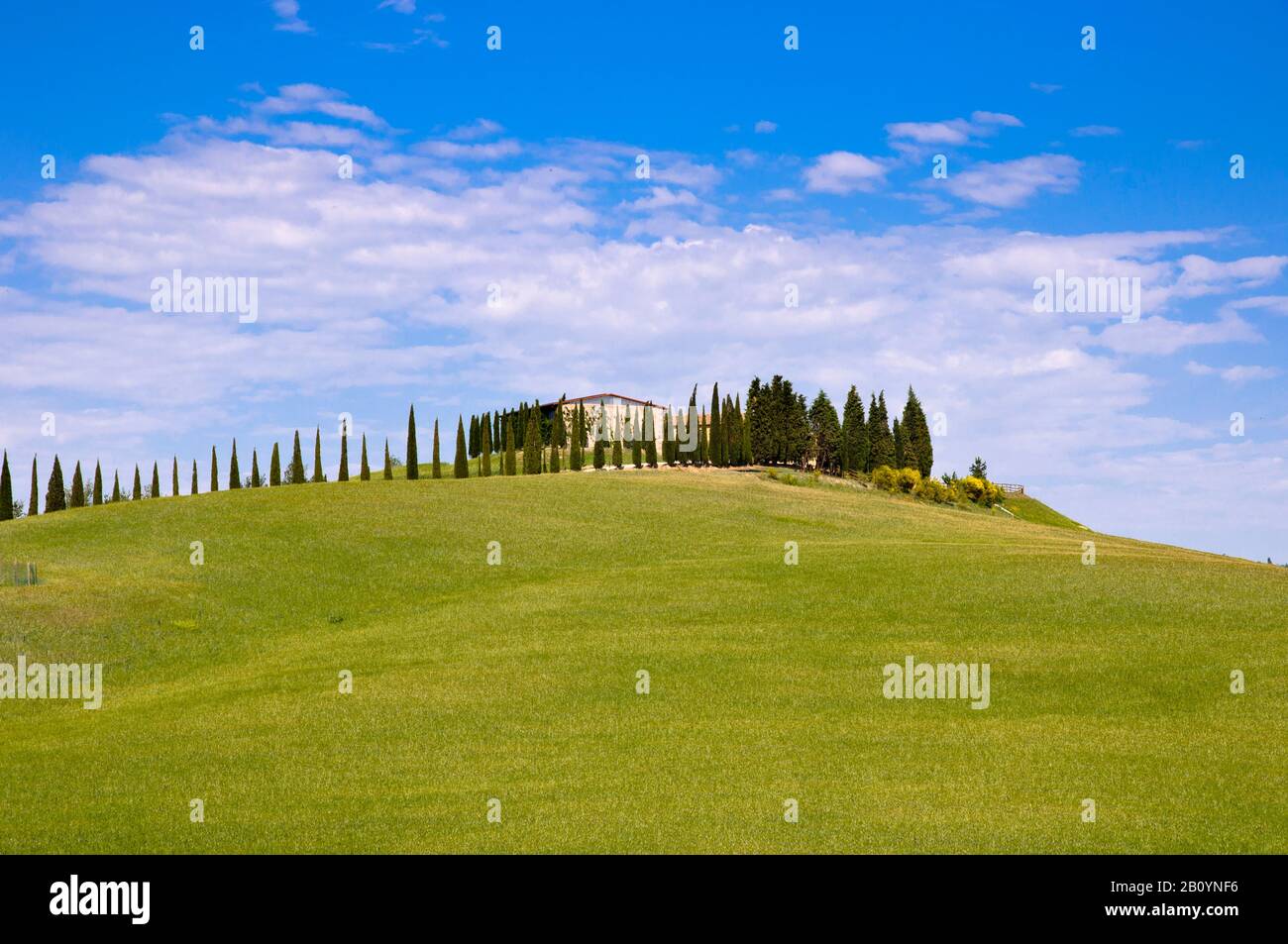Country house in typical Tuscan landscape, Tuscany, Italy Stock Photo ...