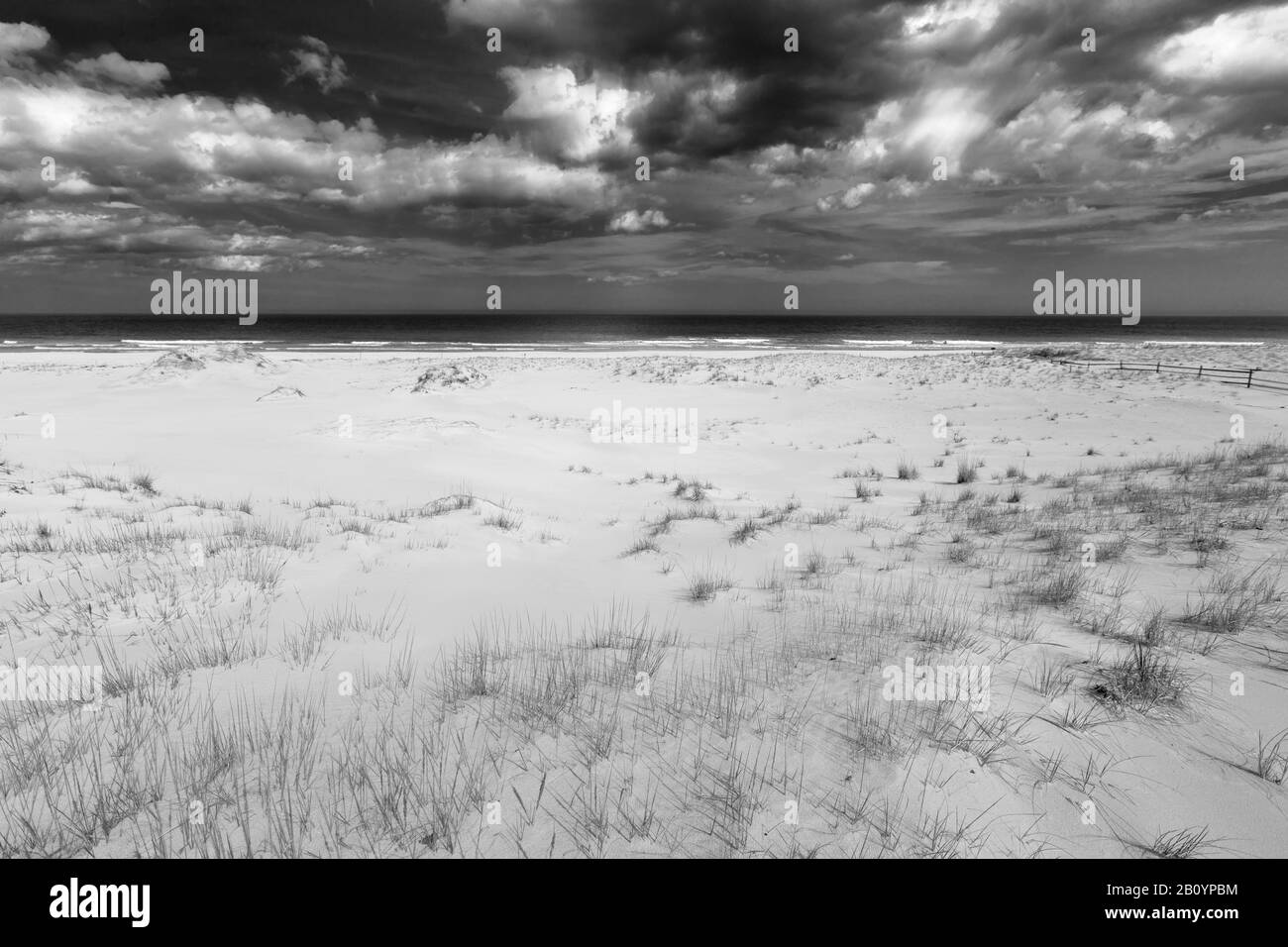 Sandy beach beach with dune grass Black and White Stock Photos & Images ...