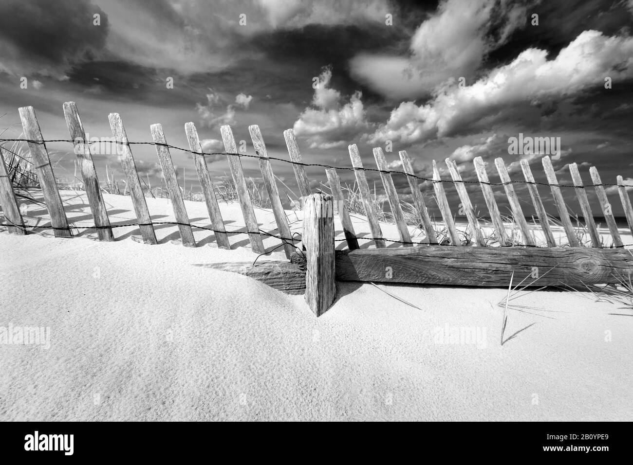 Sandy beach beach with dune grass Black and White Stock Photos & Images ...