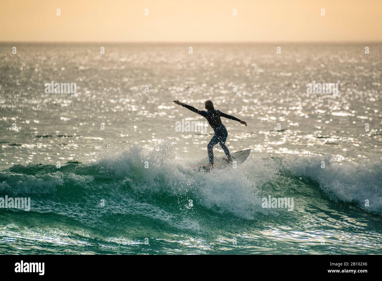 Surfers at sunset, Big Bay, Cape Town, South Africa Stock Photo