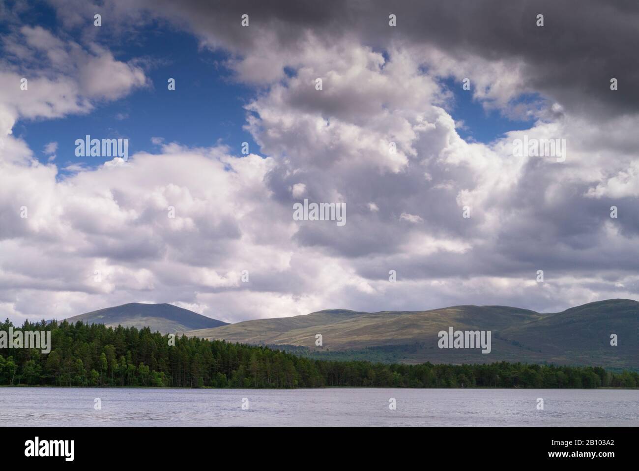 Loch Garten Cairngorm National Park Scotland UK Stock Photo