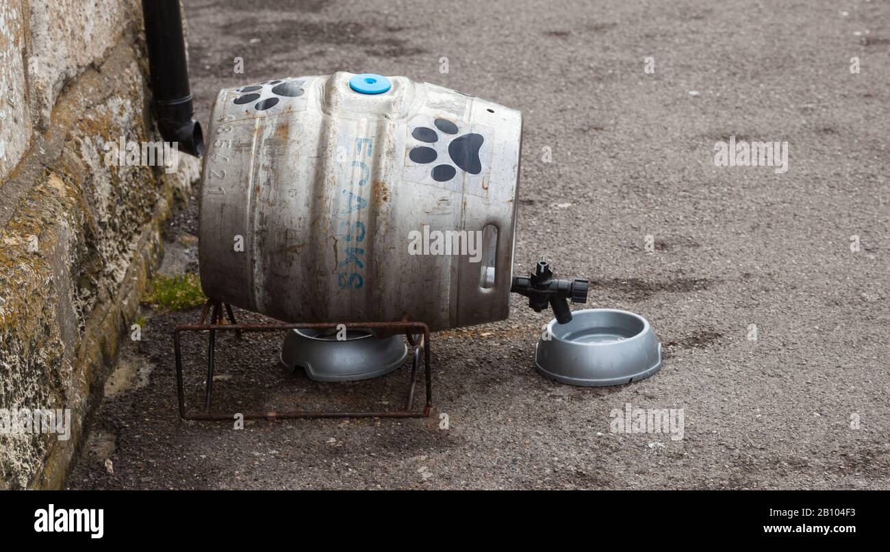 Beer barrel used for dogs drinking water Stock Photo