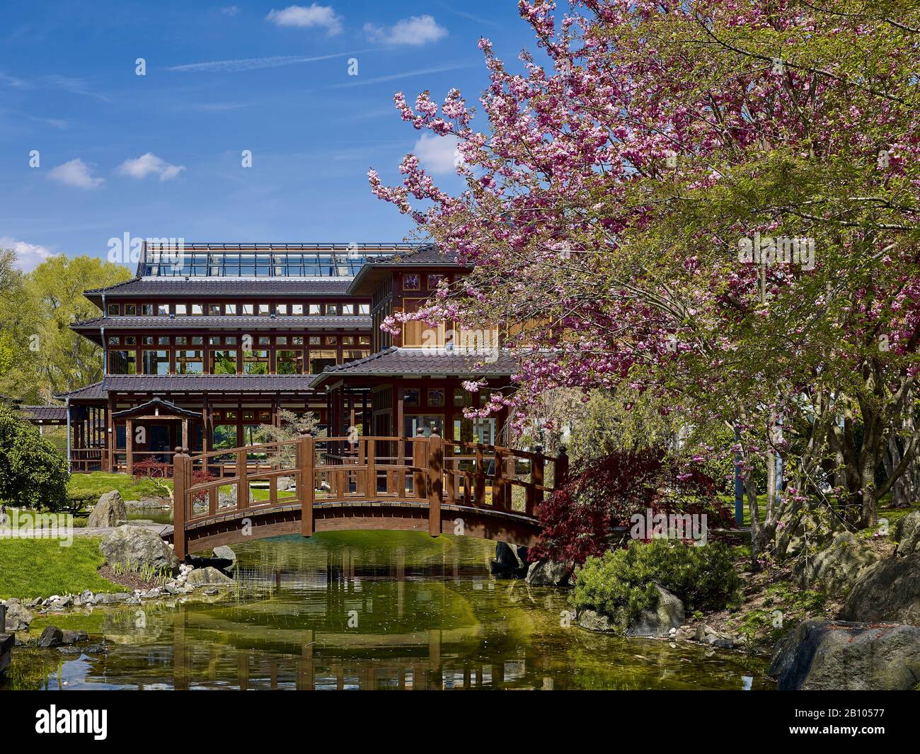Japanese garden in Bad Langensalza, Thuringia, Germany Stock Photo Alamy