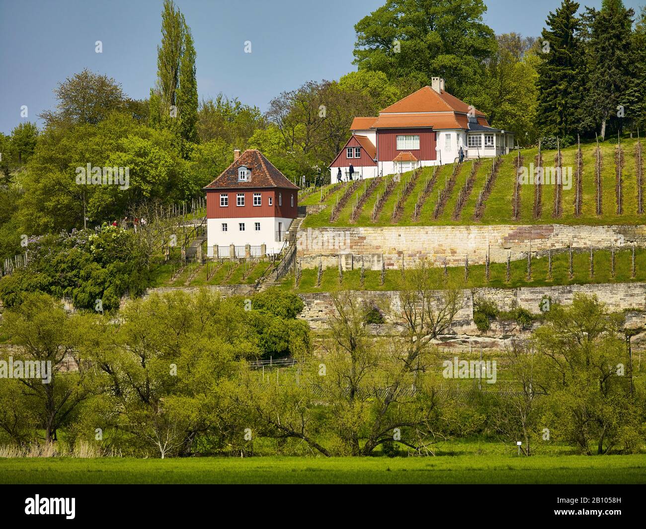 Klingerhaus in the vineyard near Großjena / Unstrut, Burgenlandkreis, Saxony-Anhalt Stock Photo