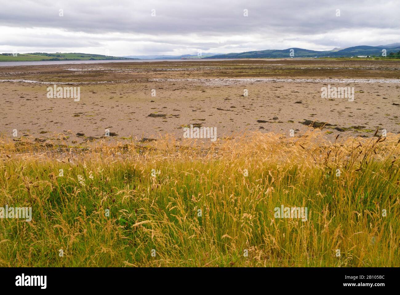 Landscape of the Cromarty Firth near Invergordon Scotland UK Stock Photo