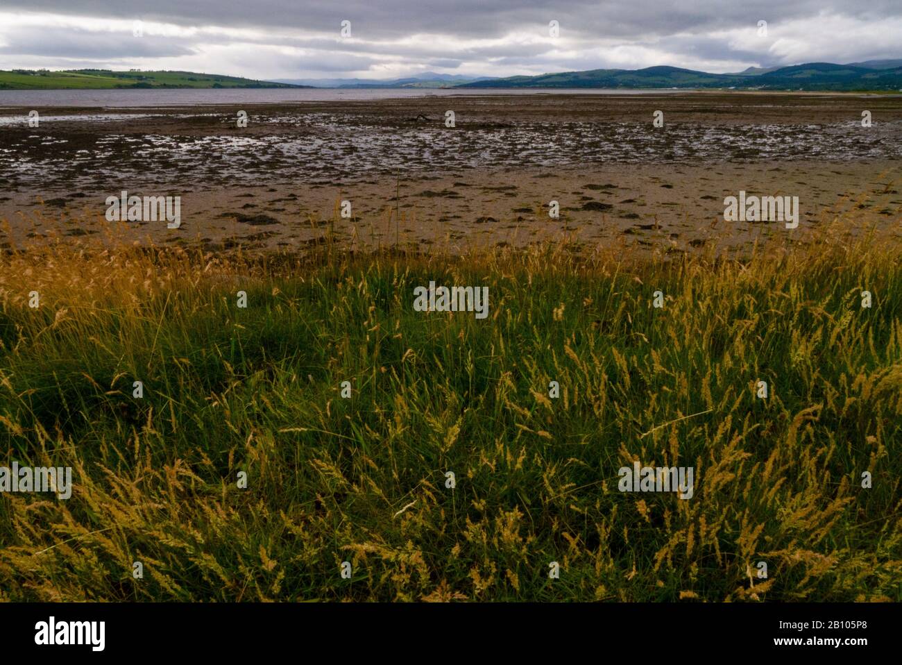 Landscape of the Cromarty Firth near Invergordon Scotland UK Stock Photo