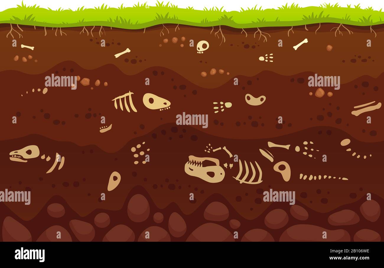 Archeology bones in soil layers. Buried fossil animals, dinosaur skeleton bone in dirt and underground clay layer vector illustration Stock Vector