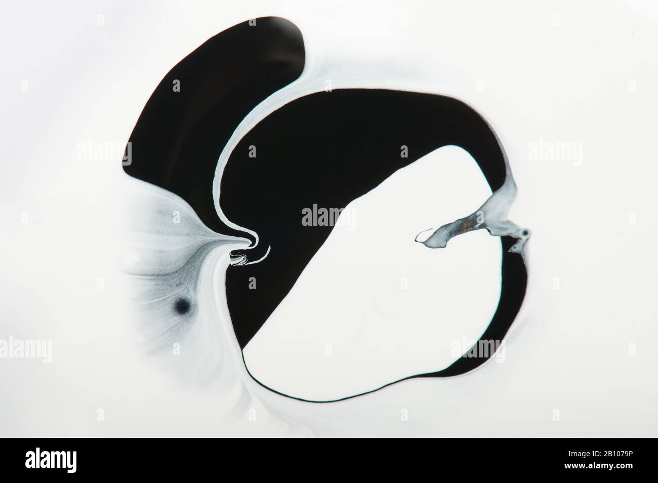 Abstract black paint shape on white background Stock Photo - Alamy