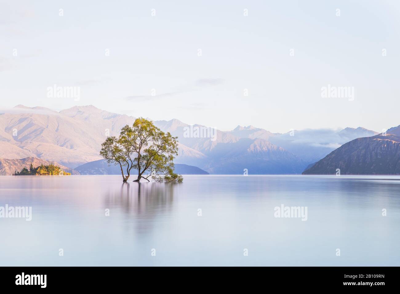 That Wanaka Tree, Lone Tree In Lake, Wanaka Tree in Wanaka, New Zealand. Popular Travel Destination. Scenic view of New Zealand Landscape Stock Photo