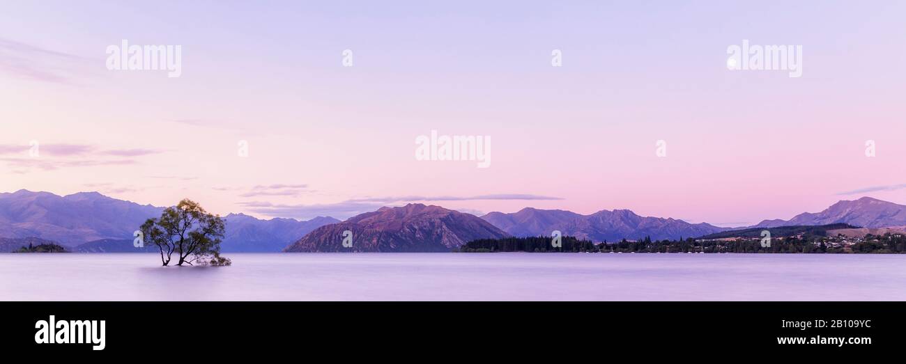 Famous Wanaka Tree At Sunset, Lake Wanaka, Otago, South Island, New Zealand Stock Photo