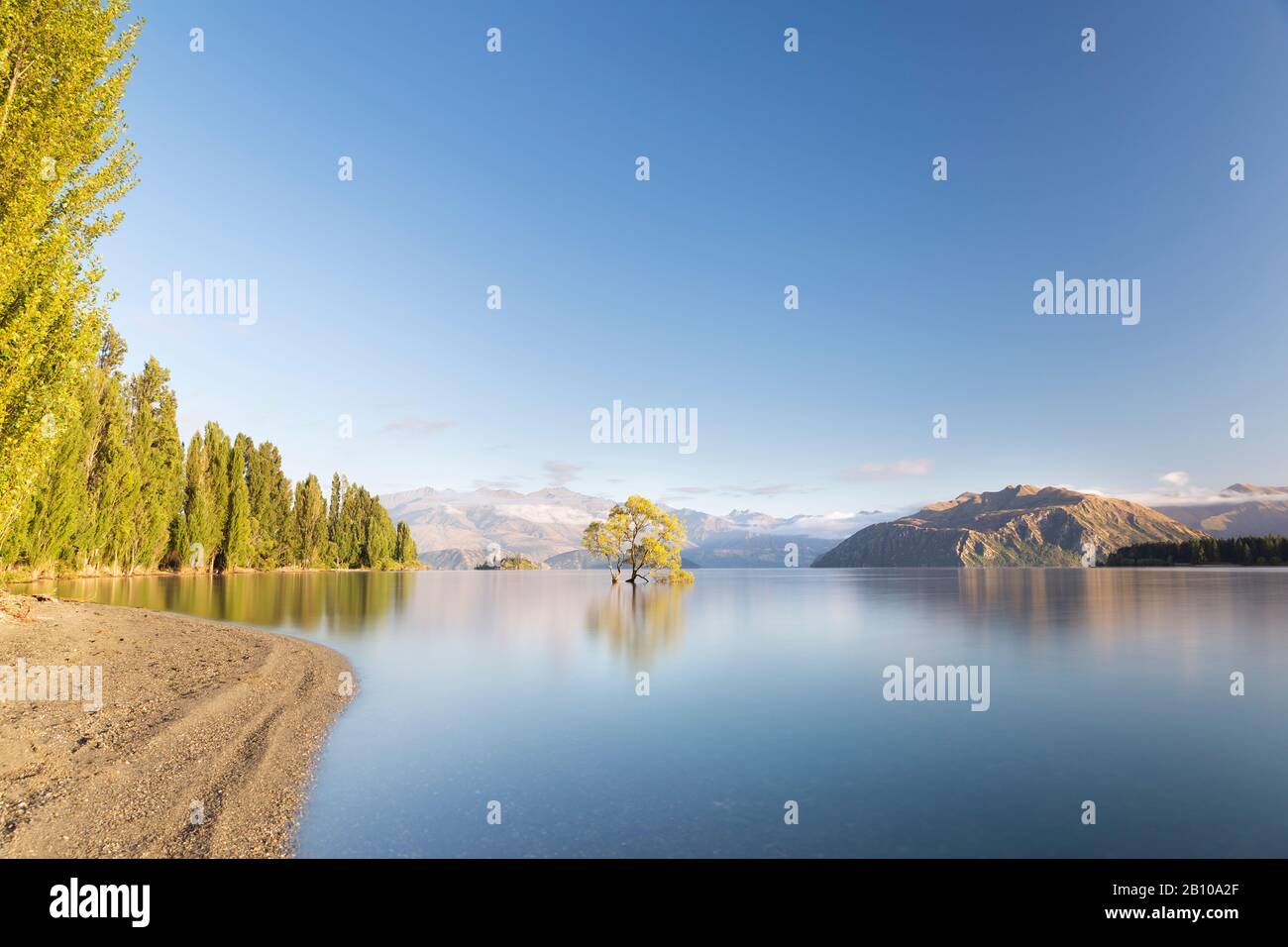 That Wanaka Tree, Lone Tree In Lake, Wanaka Tree in Wanaka, New Zealand. Popular Travel Destination. Scenic view of New Zealand Landscape Stock Photo