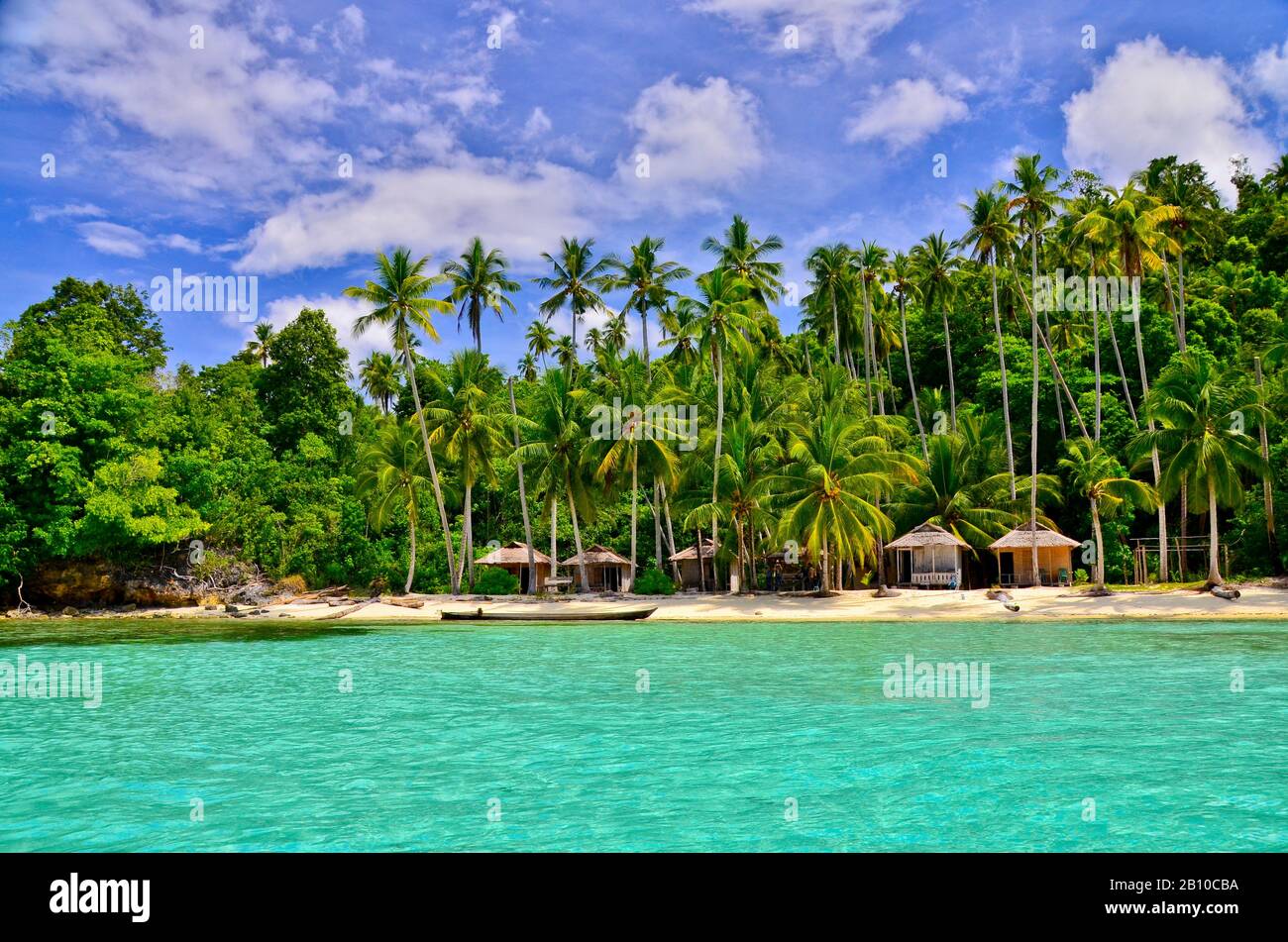 Beach with palm trees, Malenge Island, Tomini Bay, Togian Islands ...