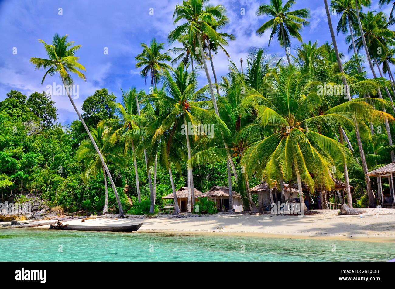 Beach with palm trees, Malenge Island, Tomini Bay, Togian Islands ...