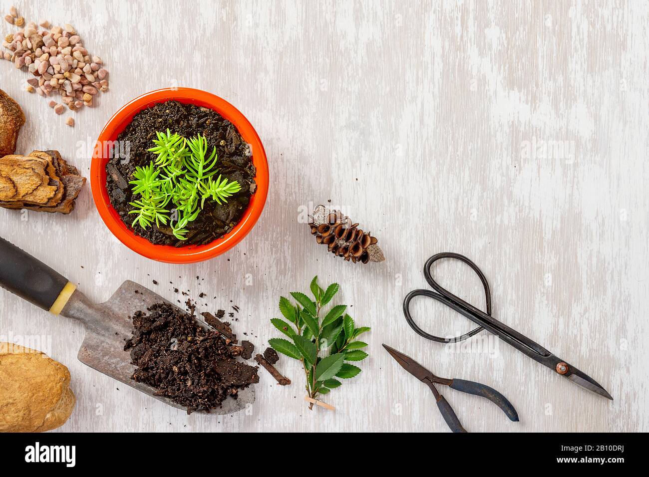 Gardening tools and potted plant flat lay image hobbies and leisure