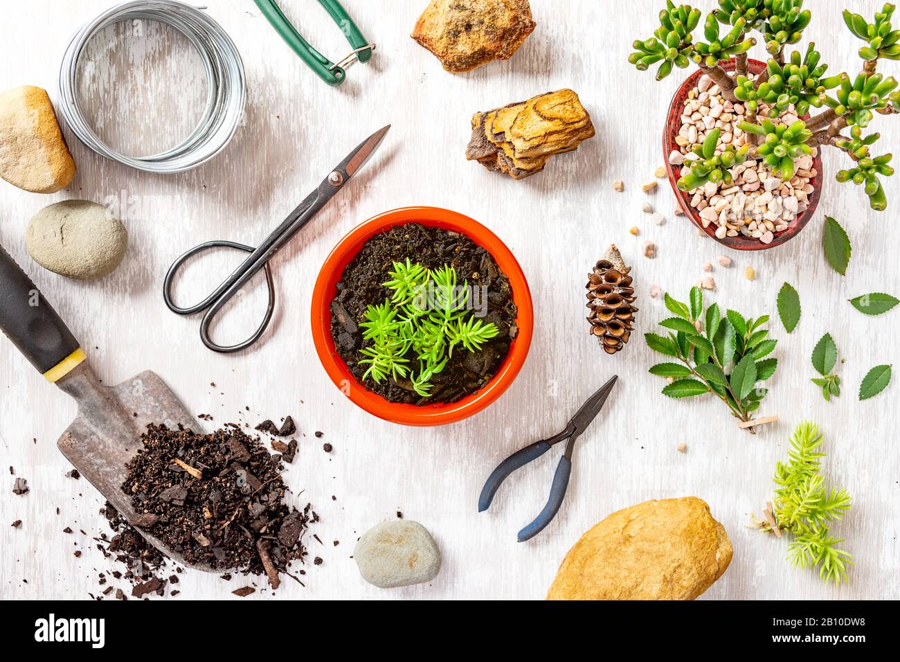Gardening tools and potted plant flat lay image shot from above