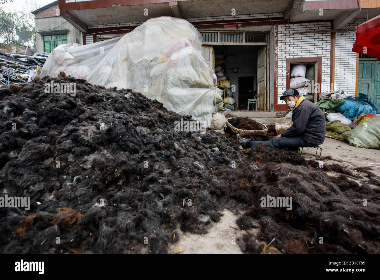 Chinese checks hair from a pile collected from Neijiang Hairdressing Salons, outskirts of Neijiang, Sichuan, China Stock Photo