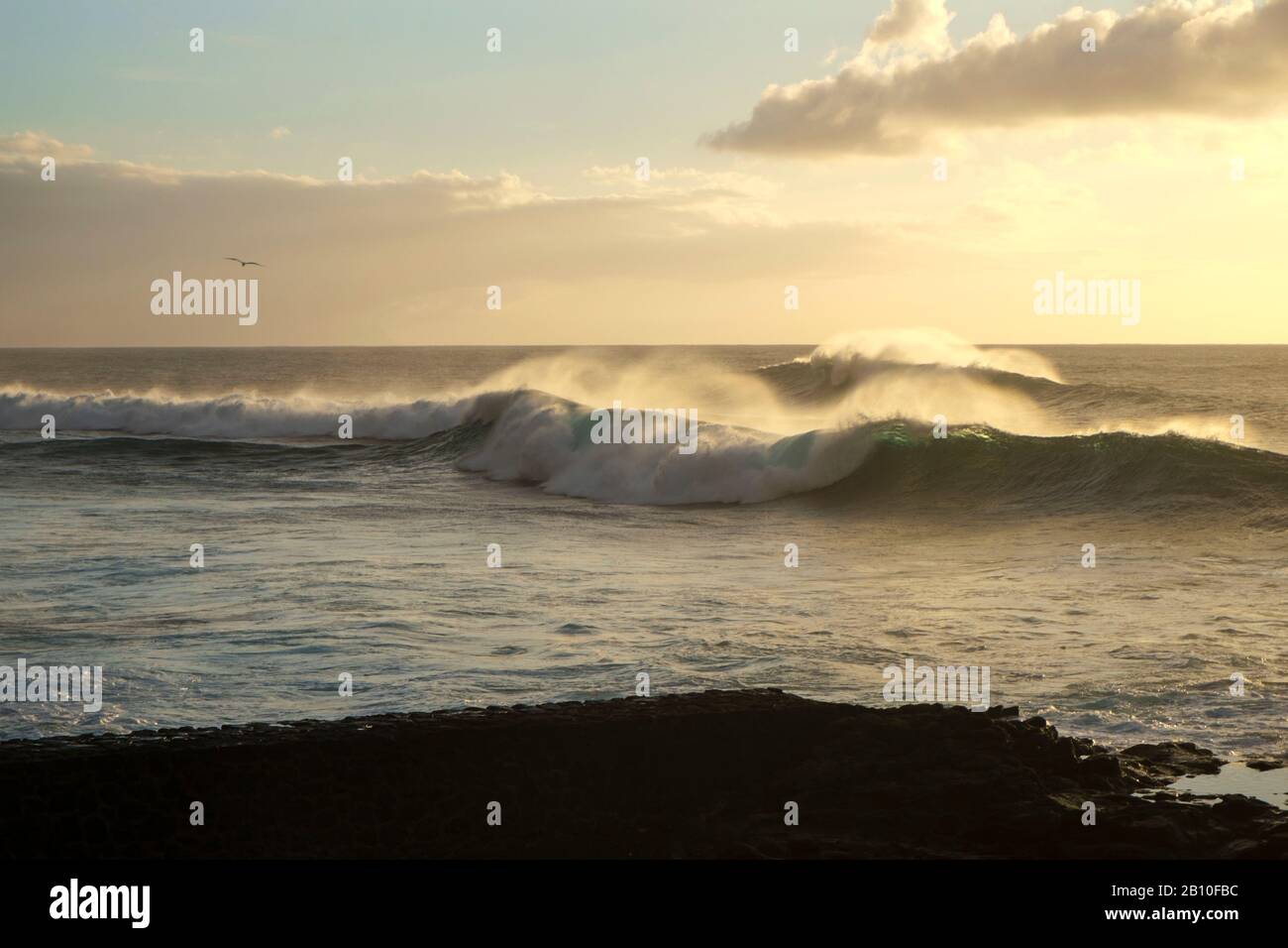 Surf at sunset, Tenerife Stock Photo