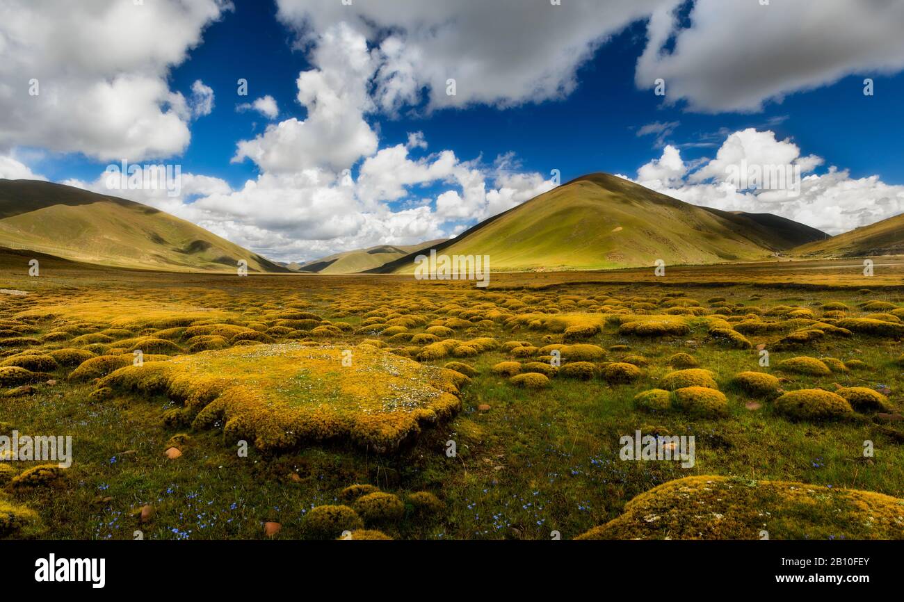 Grassland Of The Tibetan Plateau Near Litang Sichuan Province China