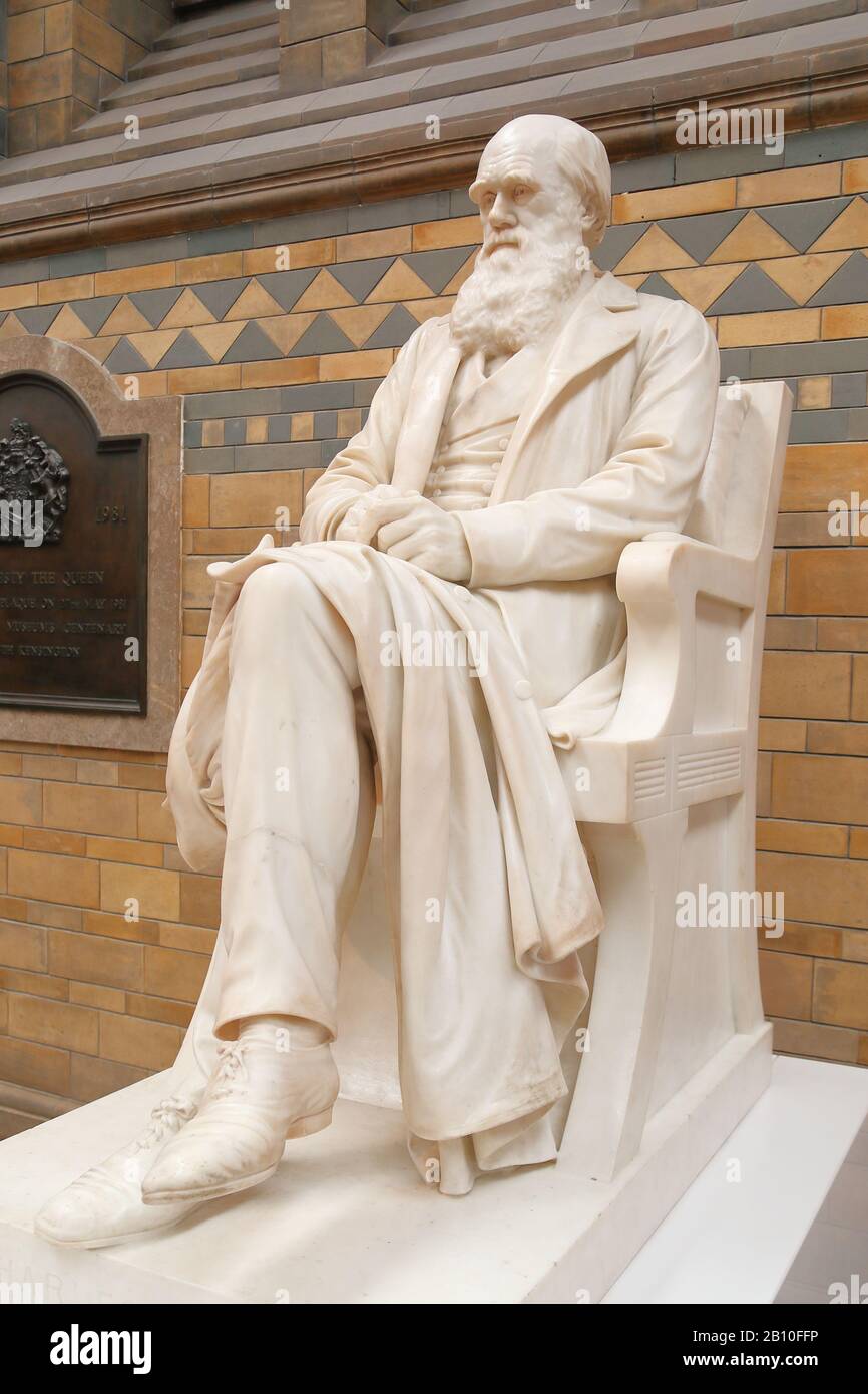 Life-size marble statue of Charles Darwin at the National History ...