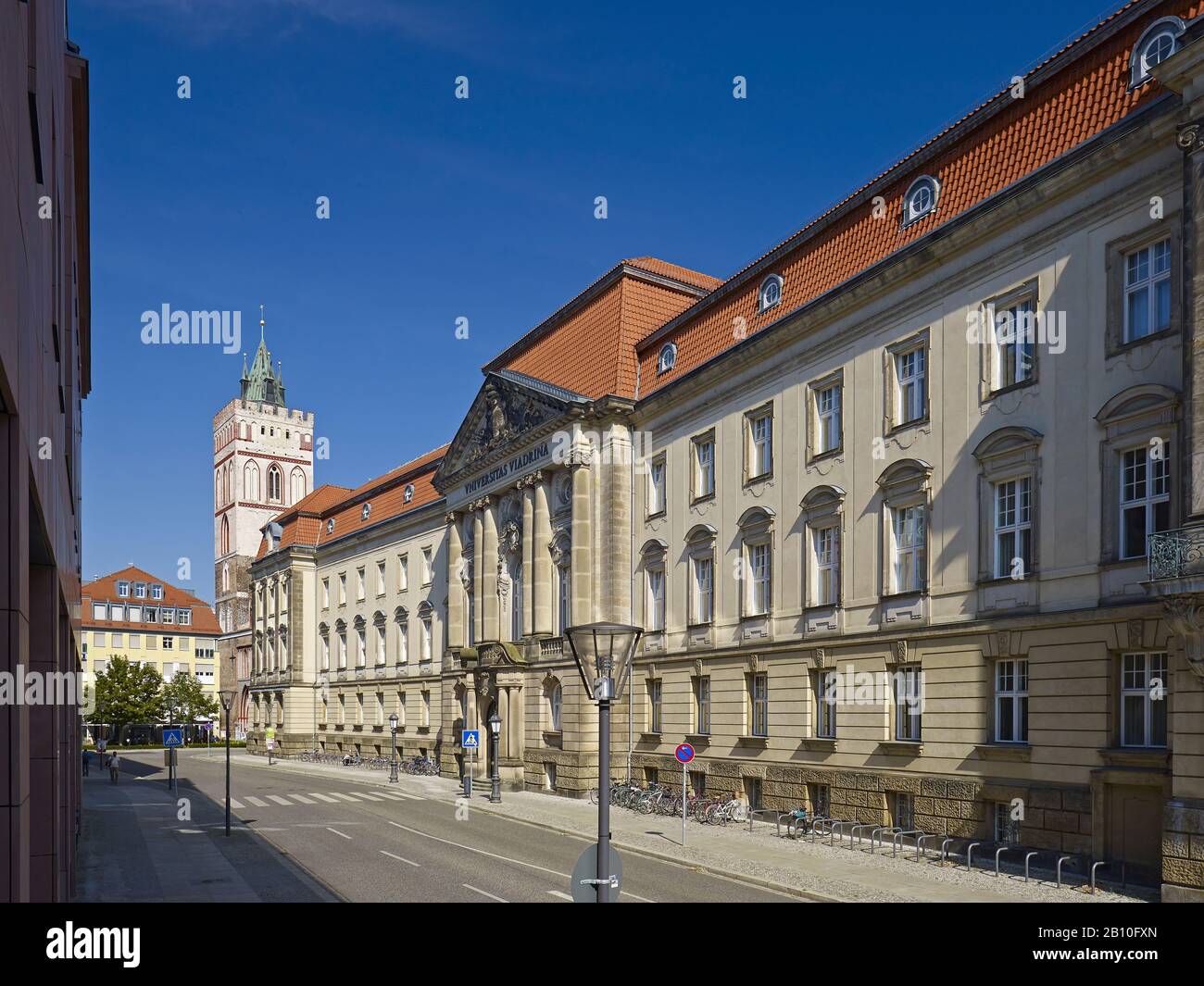 Historic university building of the European University Viadrina and St. Marien church tower in Frankfurt (Oder), Brandenburg, Germany Stock Photo
