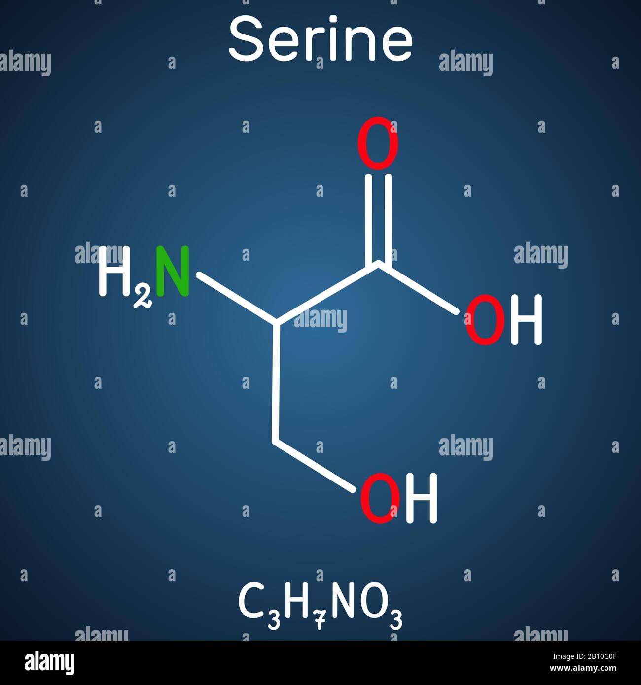 Serine, Ser amino acid molecule. It is used in the biosynthesis of protein. Structural chemical formula on the dark blue background. Vector illustrati Stock Vector