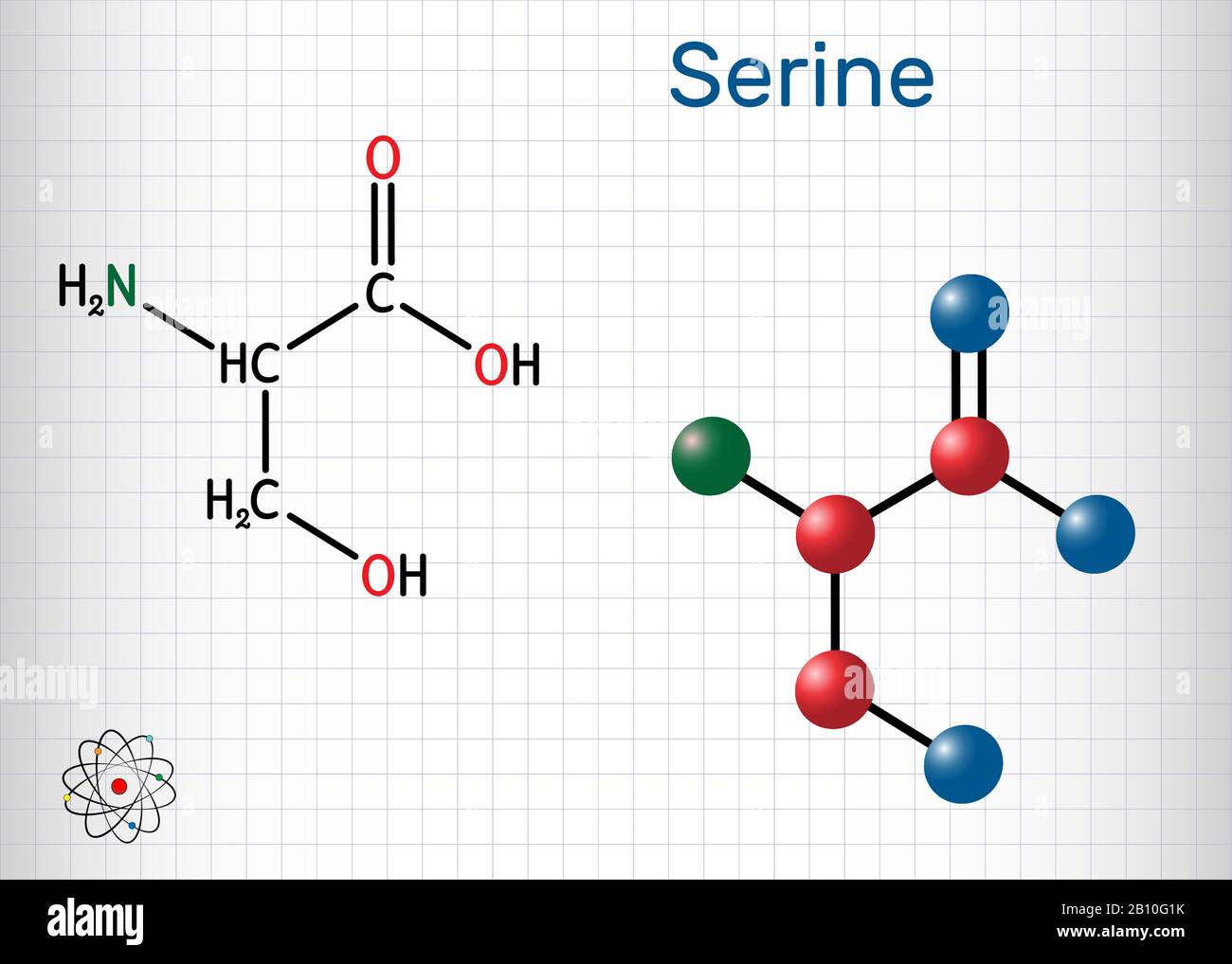 Serine, Ser amino acid molecule. It is used in the biosynthesis of protein. Structural chemical formula and molecule model. Sheet of paper in a cage. Stock Vector