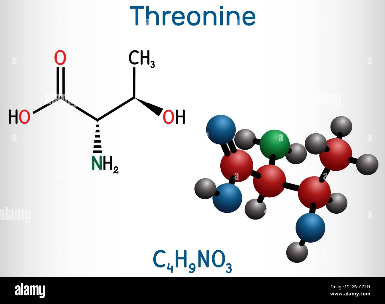 Threonine, L-Threonine, Thr, C4H9NO3 essential amino acid molecule. Structural chemical formula and molecule model. Vector illustration Stock Vector