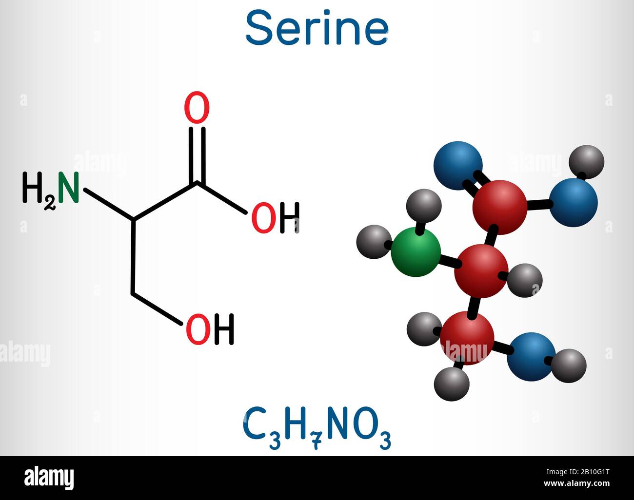 Serine, Ser amino acid molecule. It is used in the biosynthesis of protein. Structural chemical formula and molecule model. Vector illustration Stock Vector