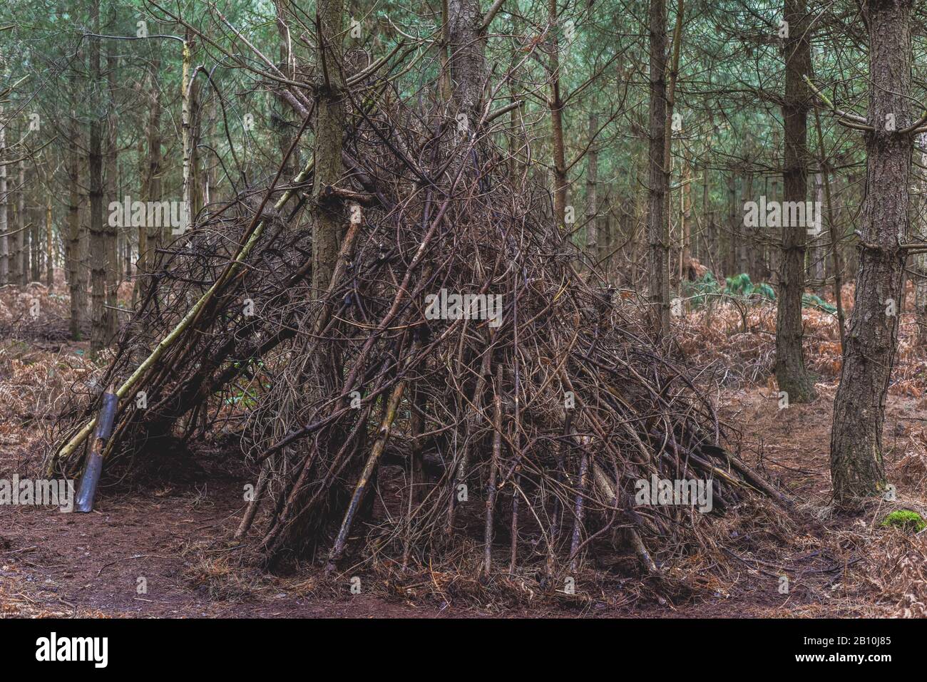 Stick Shelter In The Forest A Wigwam Style Hut Or Den Made By Kids 