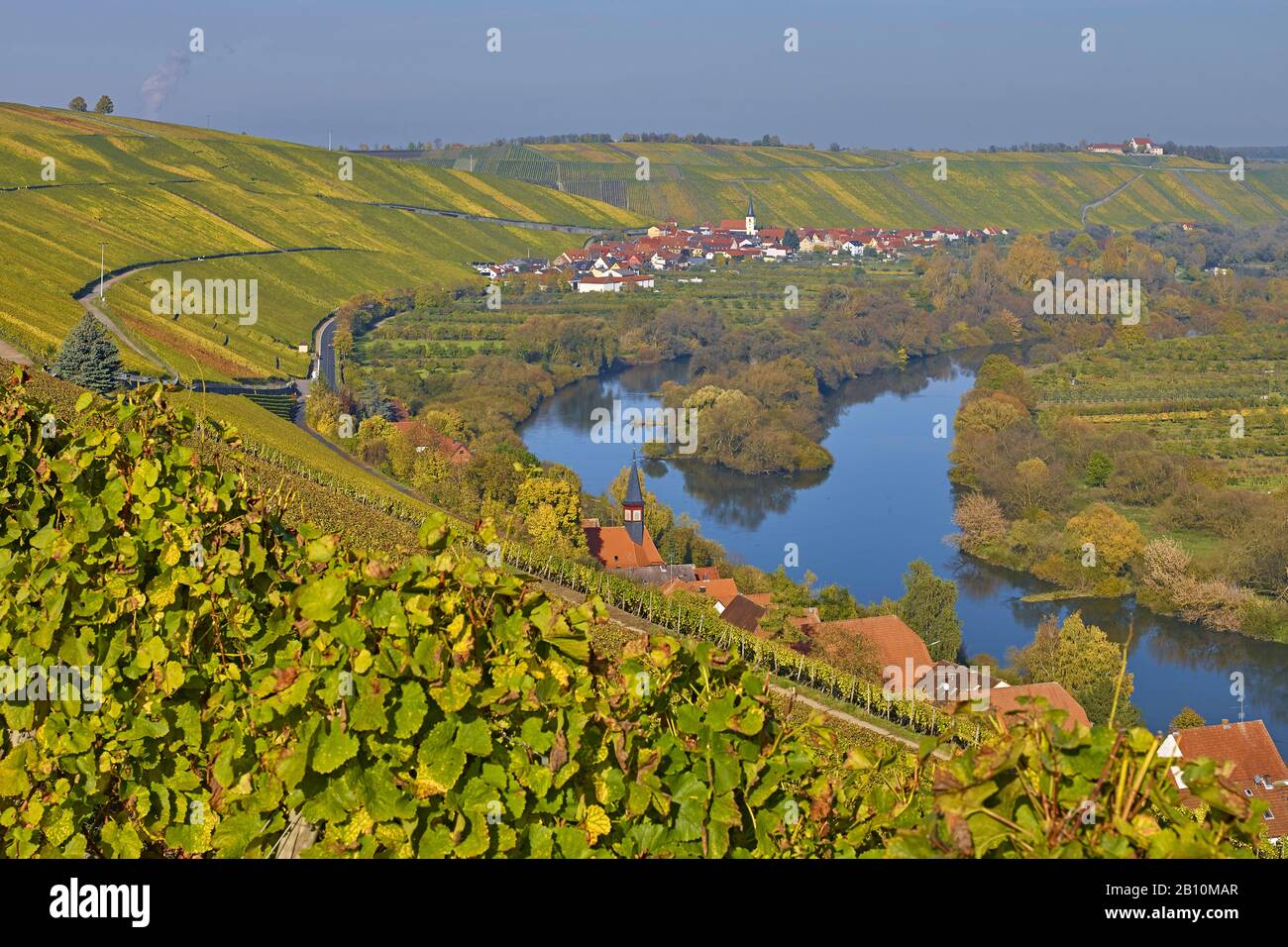 Vineyards with Escher village near Koehler, Mainfranken, Bavaria, Germany Stock Photo