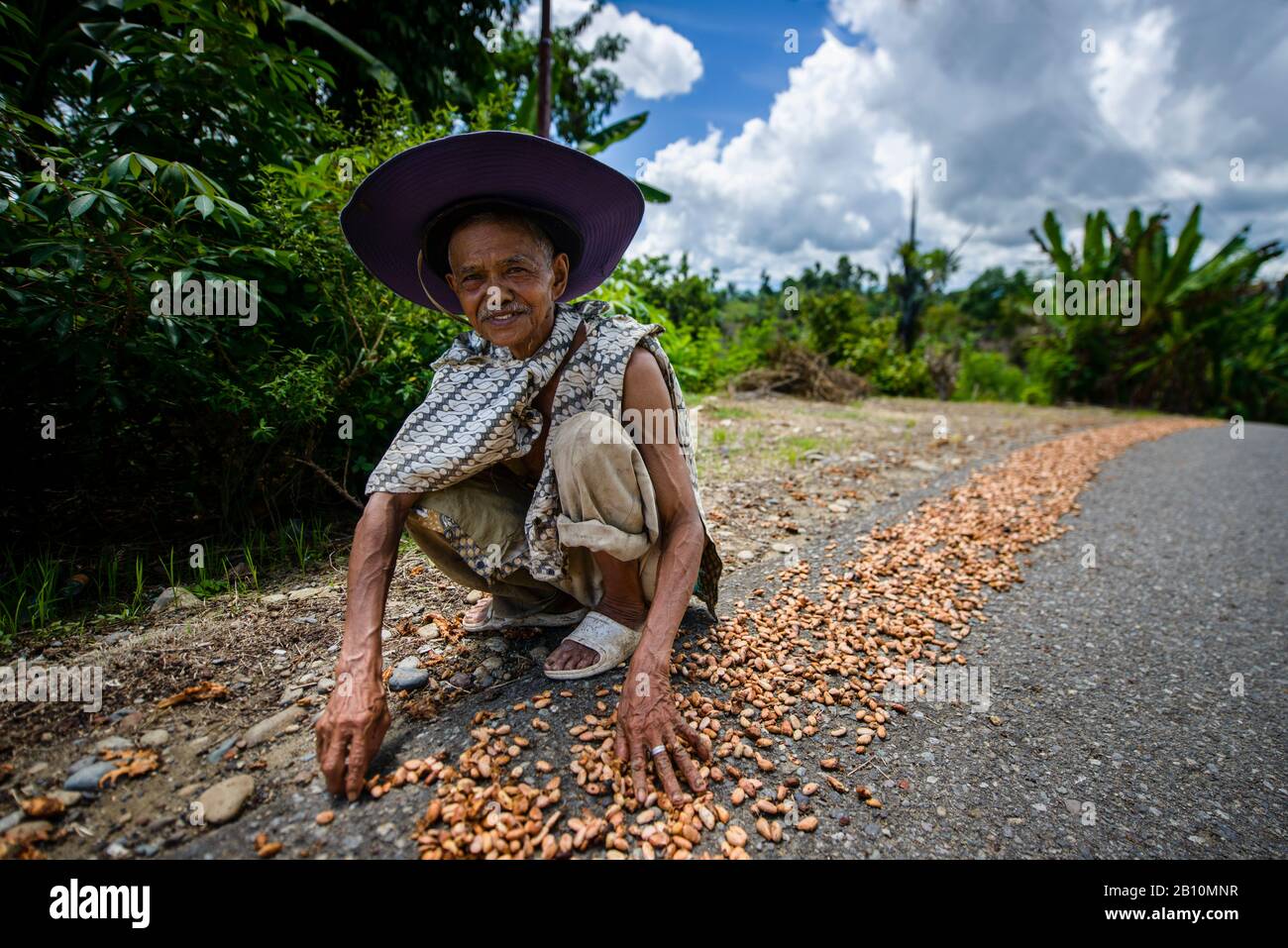 Cocoa bean collector, Sulawesi, Indonesia Stock Photo