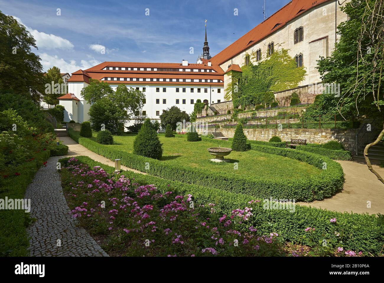 Rose garden from Hartenfels Castle, Saxony, Germany Stock Photo