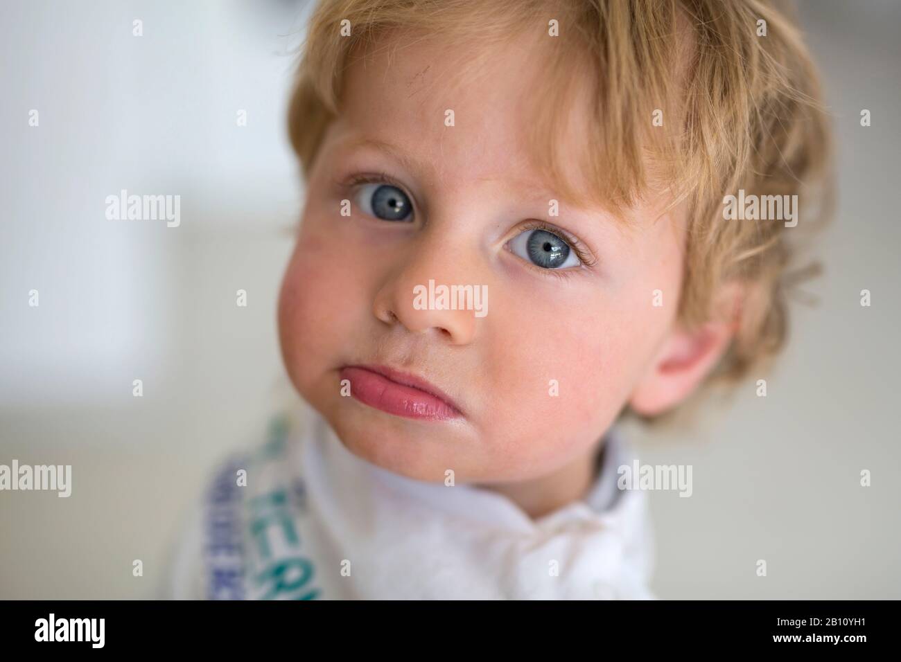 Little boy, portrait Stock Photo