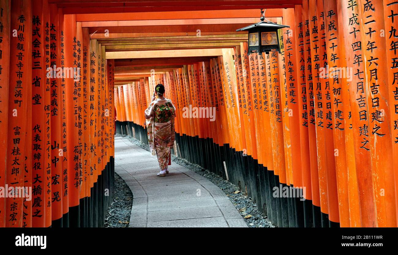 Japan, Honshu island, Kansai, Kyoto, at Fushimi Inari, the toori path. Stock Photo