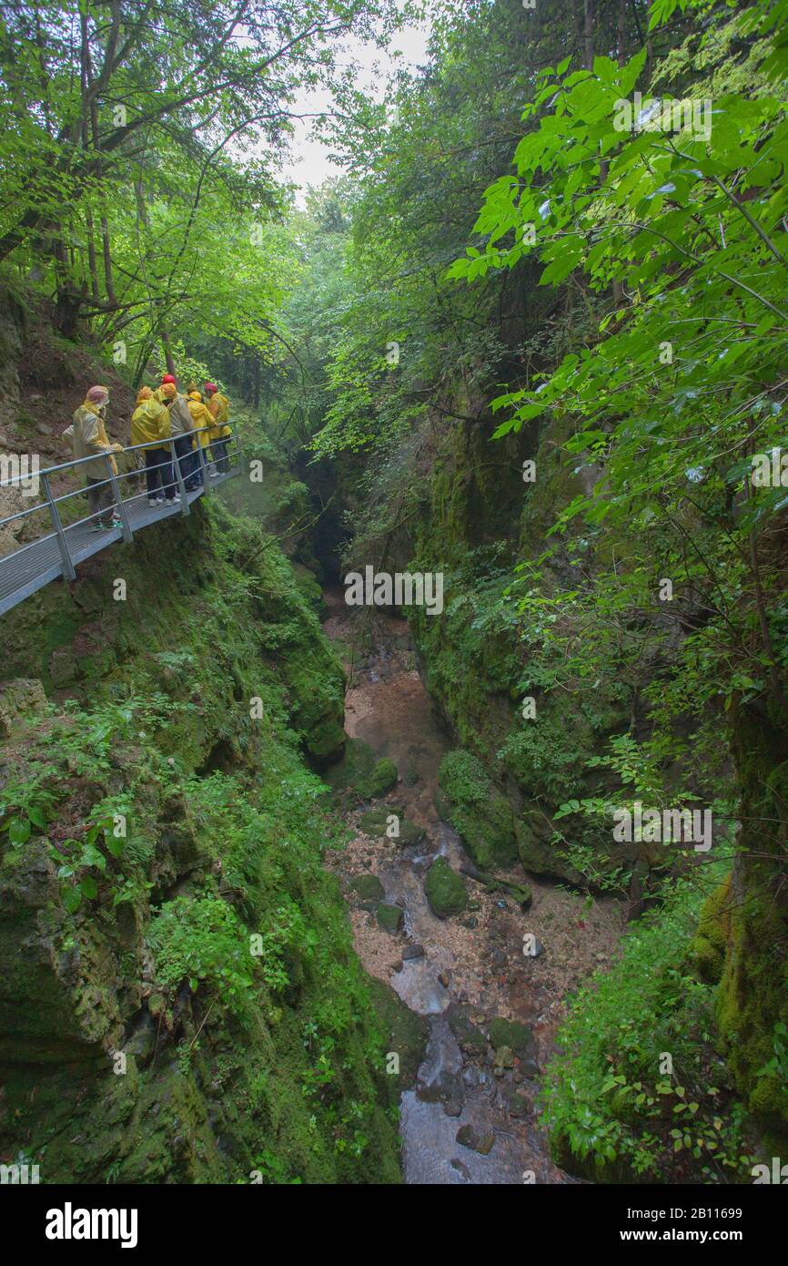 hiking trail in the canyon Rio Sass, Italy, South Tyrol, Trentino, Fondo Stock Photo