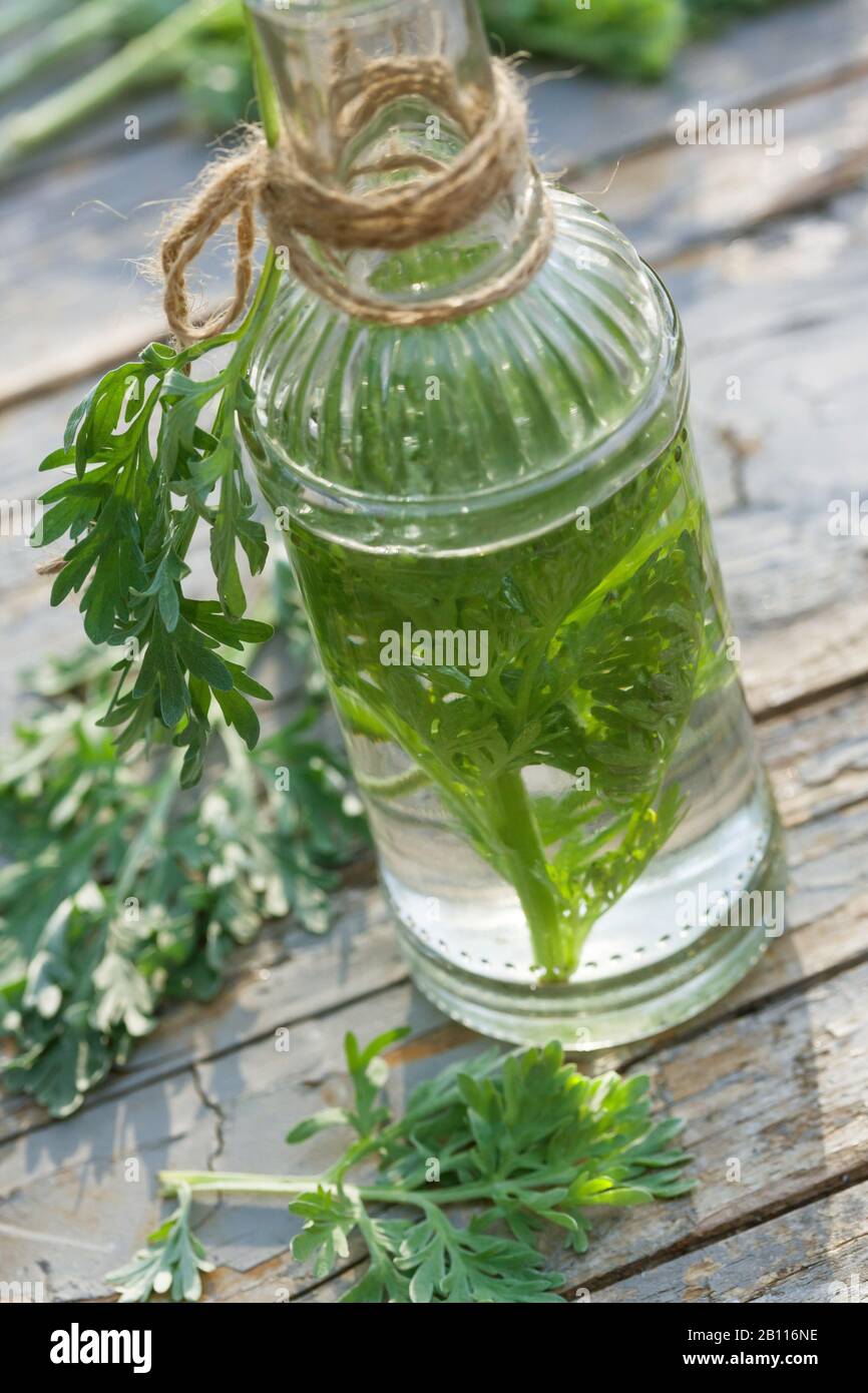 Bitters germany hi-res stock photography and images - Alamy
